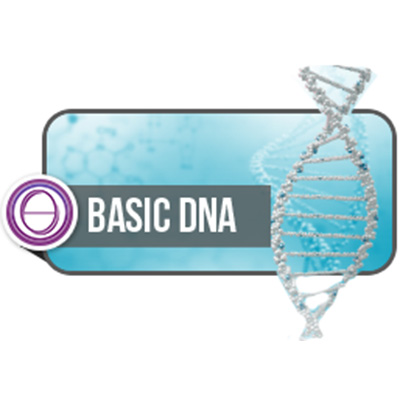 thetahealing-basic-dna-400